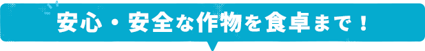 安心・安全な作物を食卓まで！